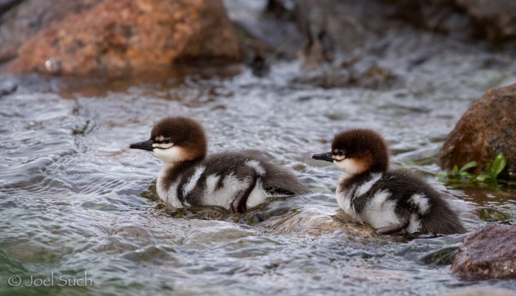 8AF4DEA9-BC40-4B3C-9625-FE432DEAD8AC